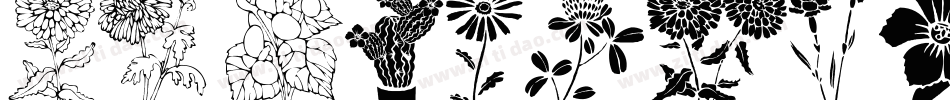 DT Flowers 1字体转换
